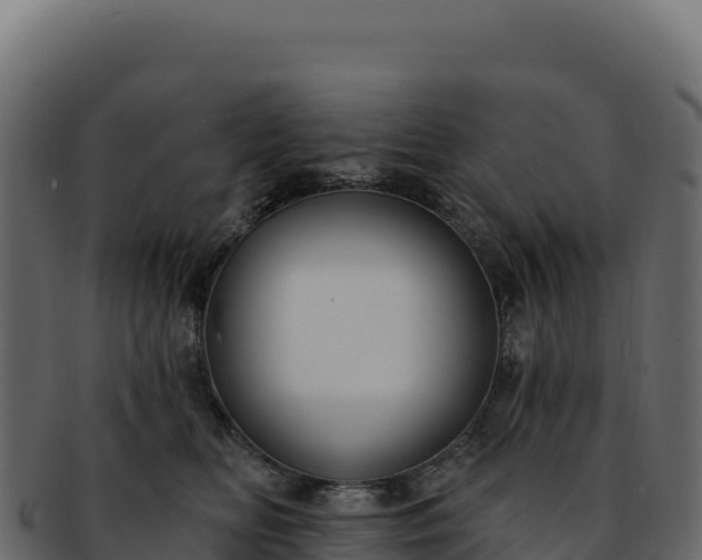 X0000092300518200710041450