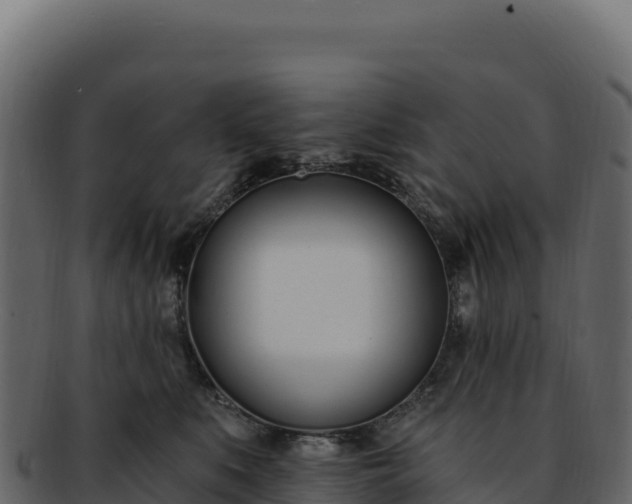 X0000092300519200710041450