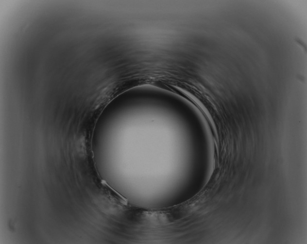 X0000092300520200710041450