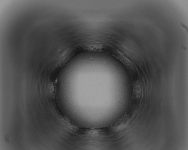 X0000092300523200710041450