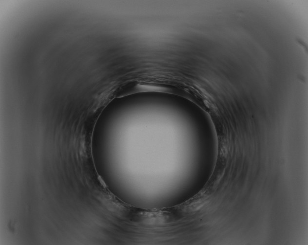 X0000092300524200710041450