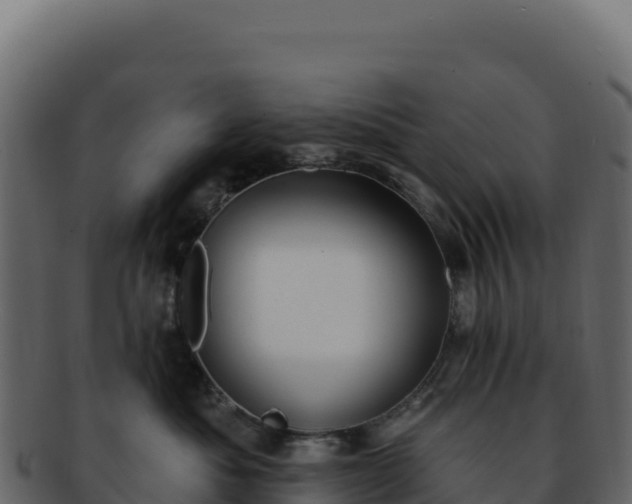 X0000092300525200710041449