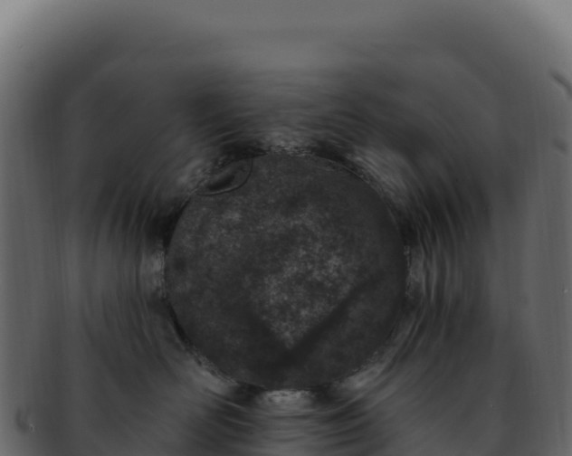 X0000092300526200710041449