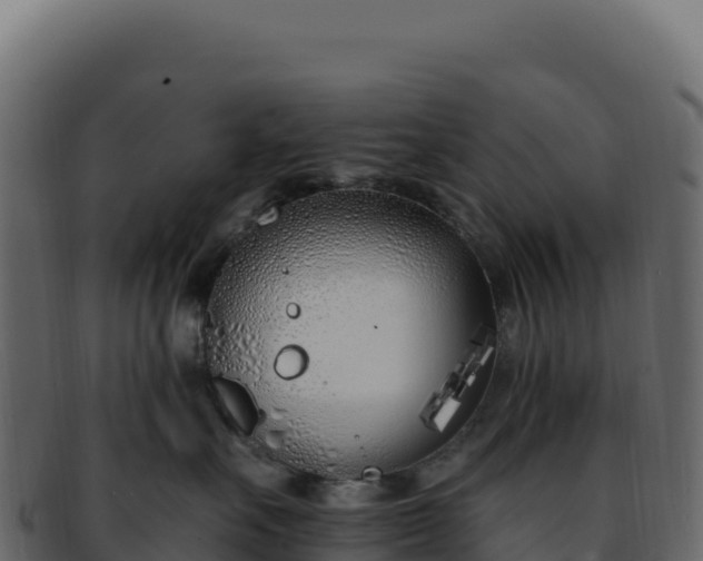 X0000092300527200710041449