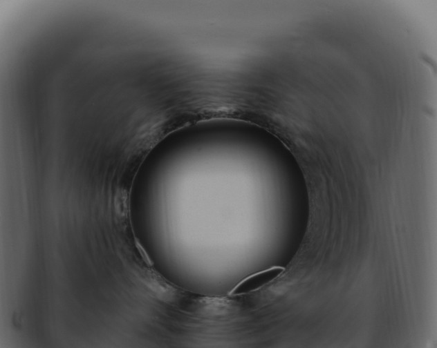 X0000092300528200710041449