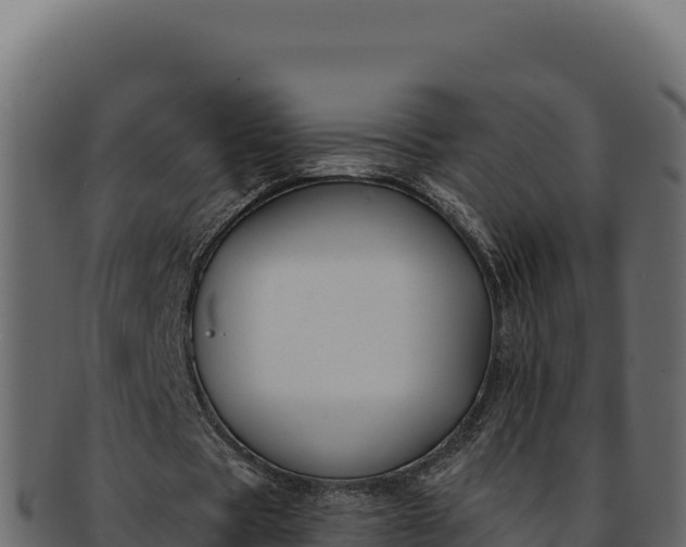 X0000092300529200710041449