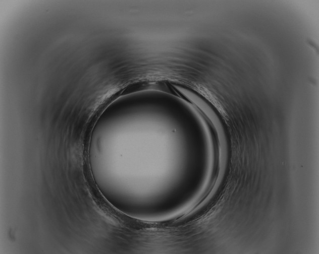 X0000092300530200710041449