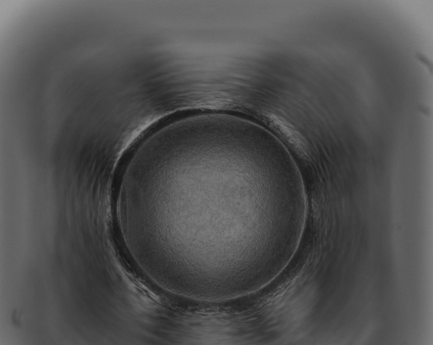 X0000092300532200710041449