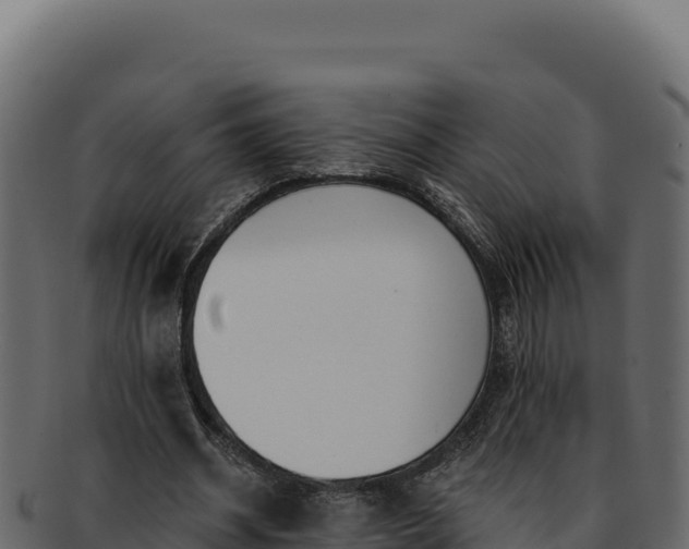 X0000092300534200710041449