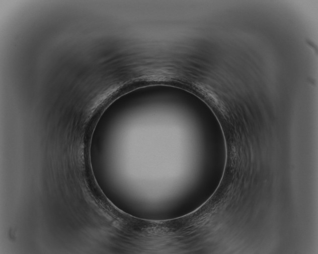 X0000092300535200710041449