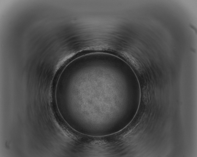 X0000092300536200710041449