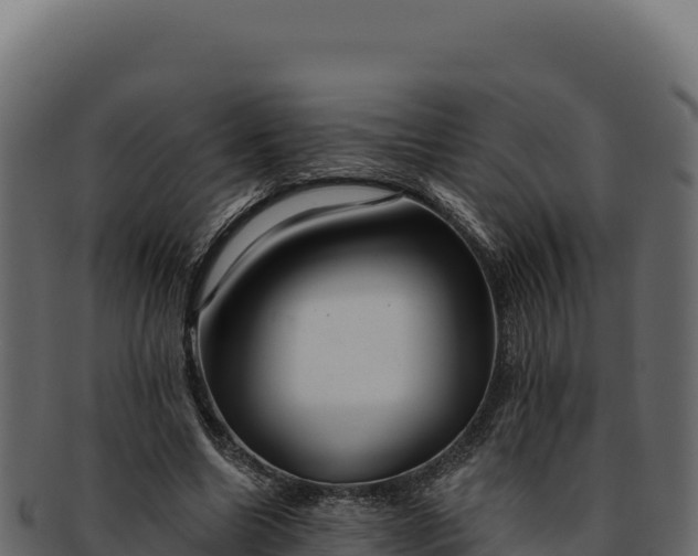 X0000092300538200710041449