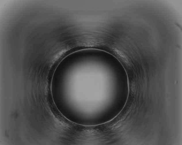 X0000092300540200710041449