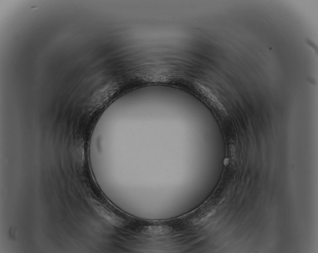 X0000092300541200710041449