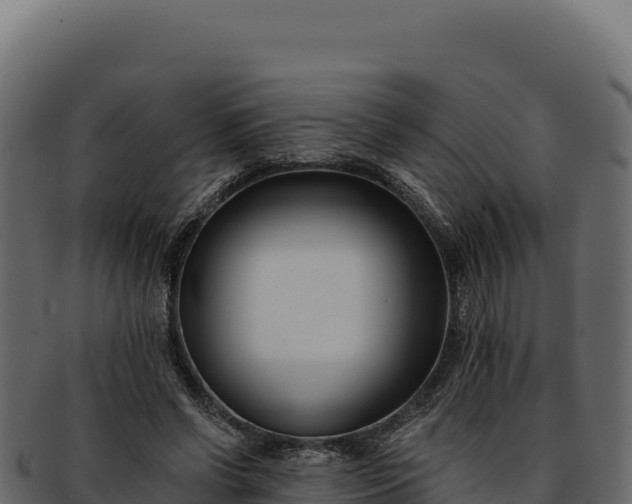 X0000092300542200710041449