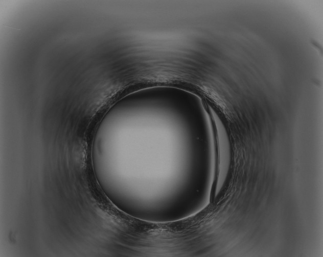 X0000092300544200710041449