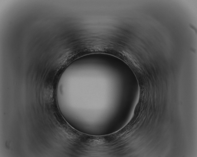 X0000092300548200710041449