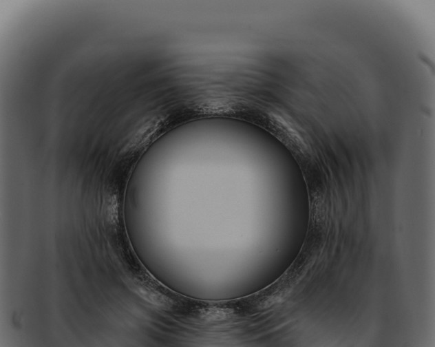 X0000092300549200710041449