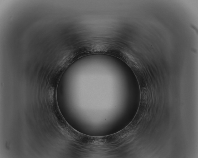 X0000092300550200710041449