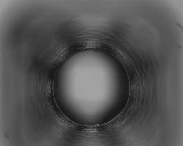 X0000092300554200710041449