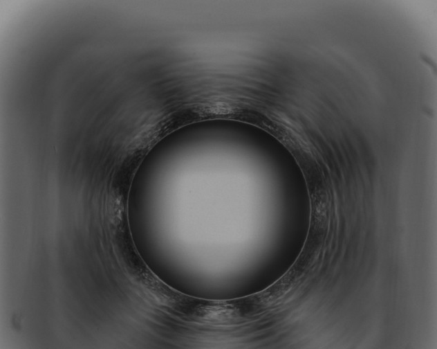 X0000092300555200710041449