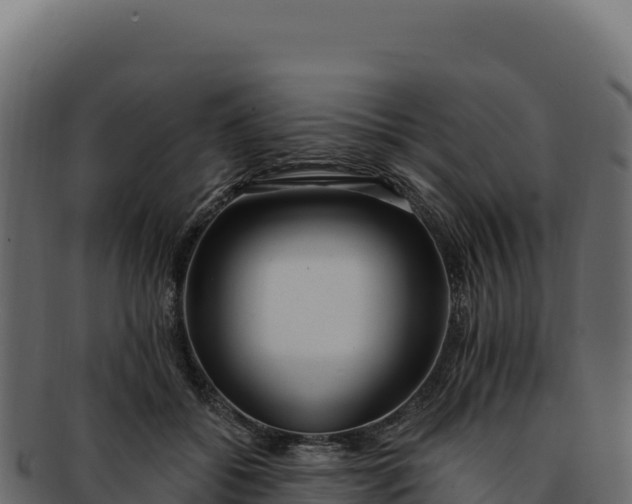 X0000092300556200710041449