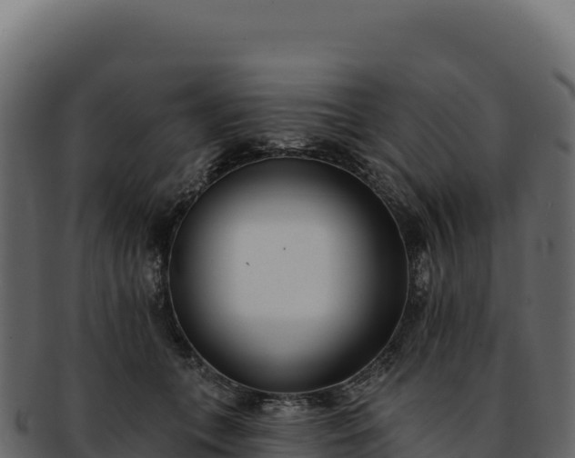 X0000092300559200710041449