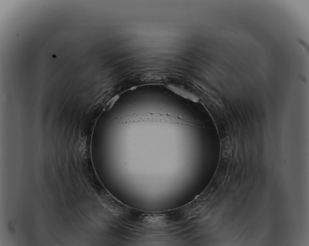 X0000092300560200710041449