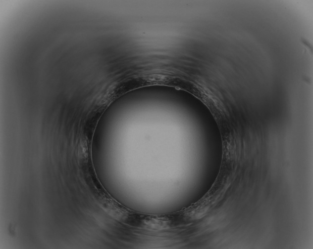 X0000092300561200710041449