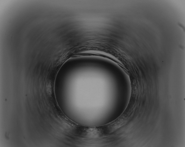 X0000092300562200710041449