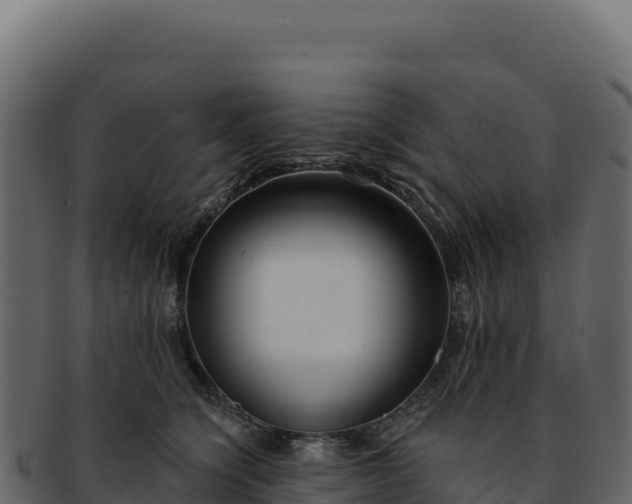 X0000092300564200710041449