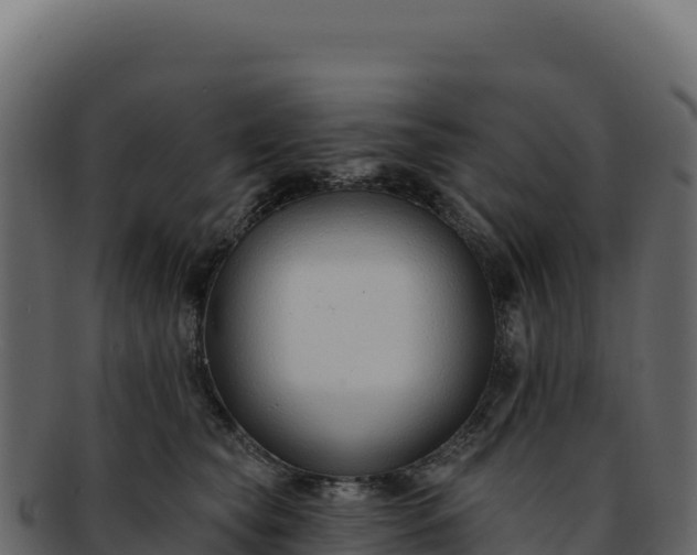 X0000092300565200710041449