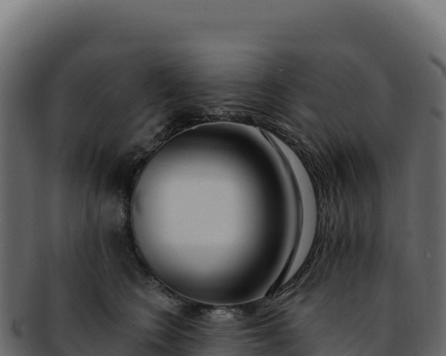 X0000092300566200710041449