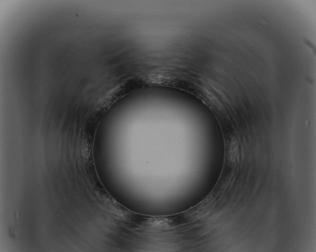 X0000092300569200710041449