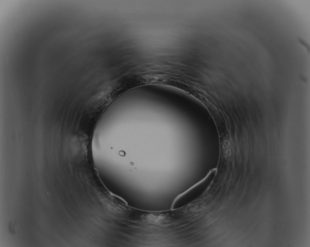 X0000092300570200710041449