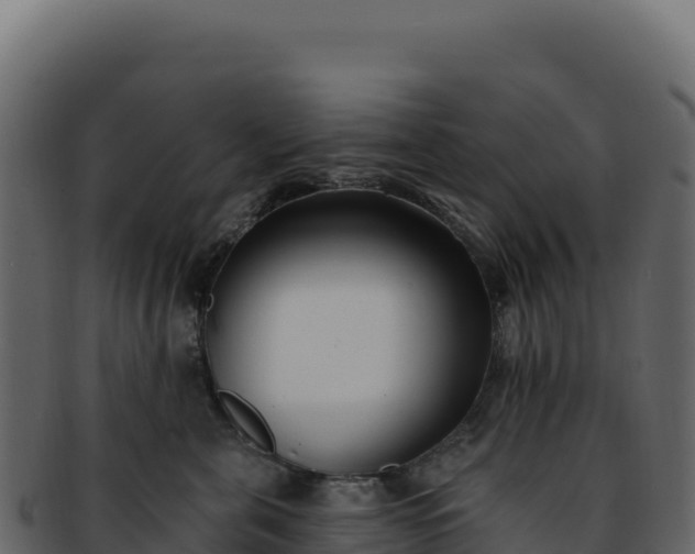 X0000092300571200710041449