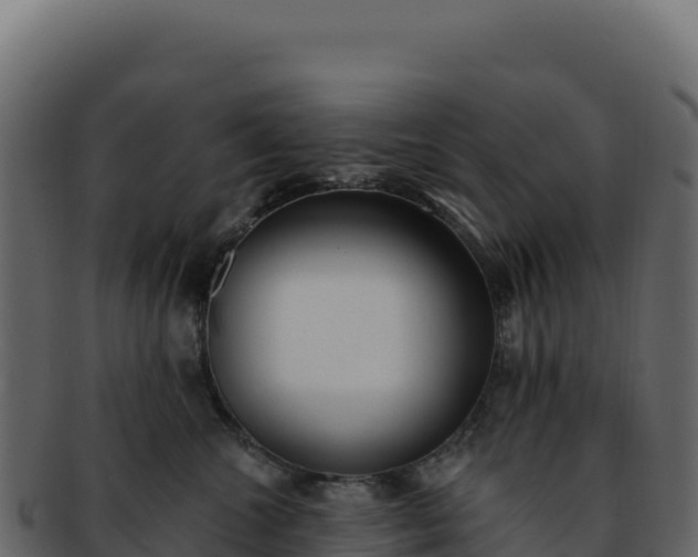 X0000092300572200710041449