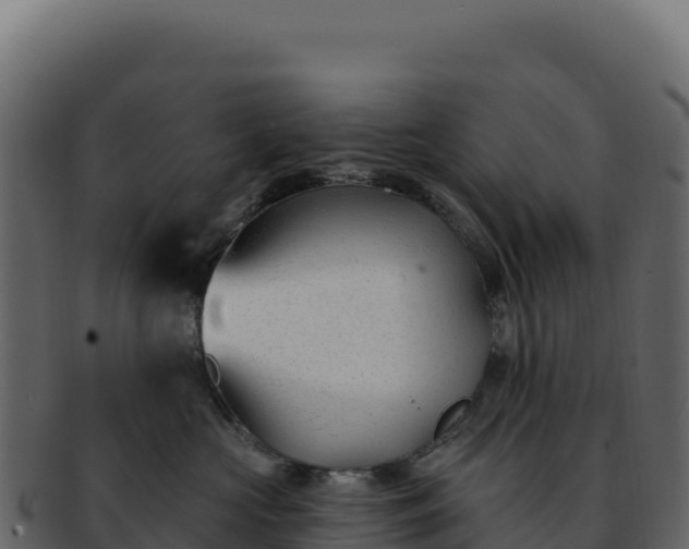 X0000092300573200710041449