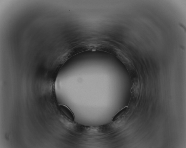 X0000092300574200710041449