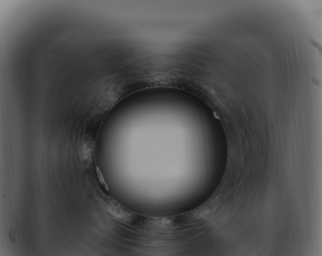 X0000092300576200710041449