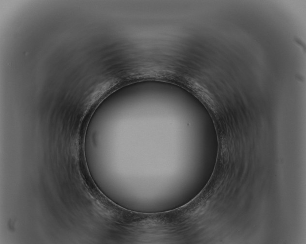 X0000092300578200710041449