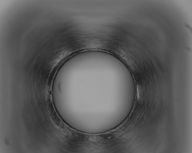 X0000092300579200710041449