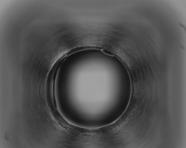 X0000092300580200710041449