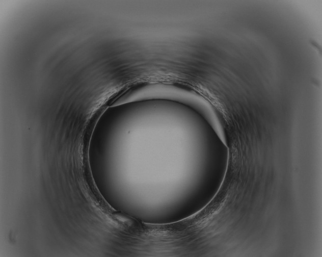 X0000092300581200710041449