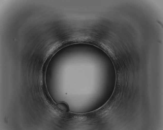 X0000092300582200710041449