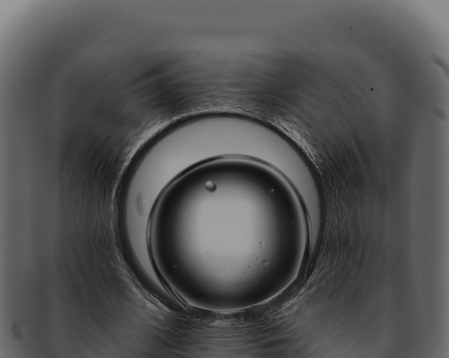 X0000092300584200710041449