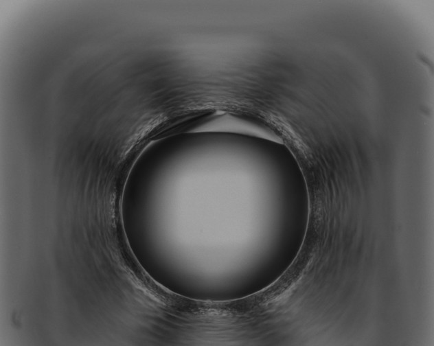 X0000092300585200710041449