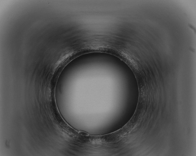 X0000092300587200710041449