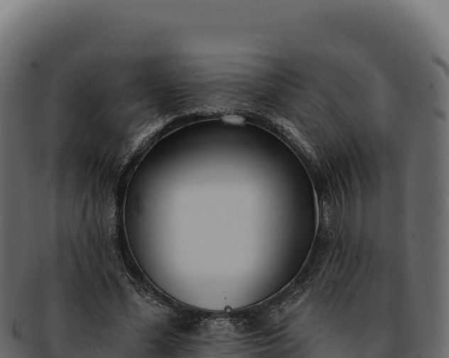 X0000092300588200710041449