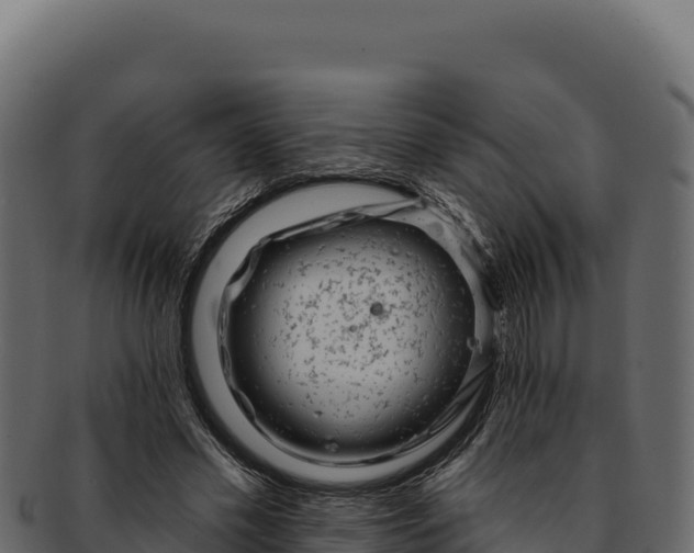 X0000092300589200710041449